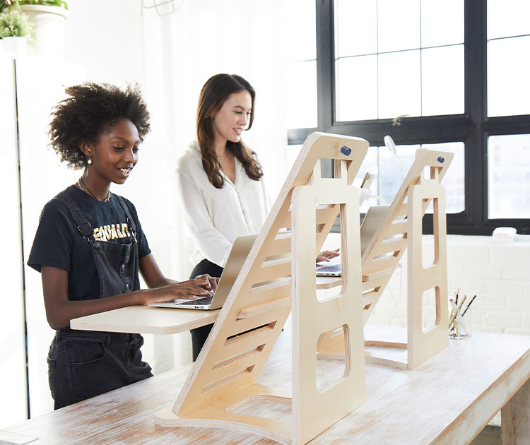 Standing Desk Converter by HyLO